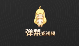 弹梨短视频,揭秘弹幕文化的魅力与影响